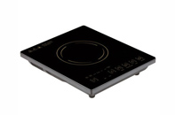 INDUCTION STOVE INDUCE